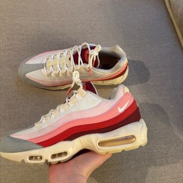 Air Max 95 Anatomy of Air 44.5