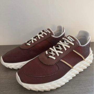 Giuseppe Zanotti tenisice