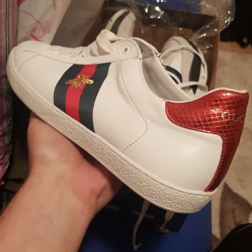 Gucci Ace Bee Patike