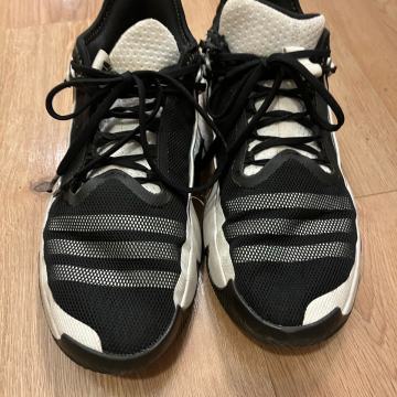 Košarkaške tenisice