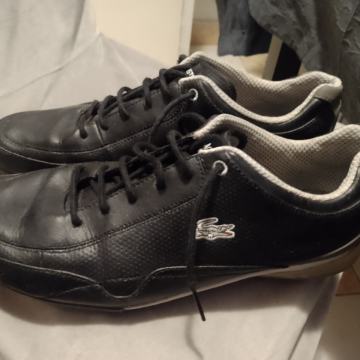 Lacoste br.46 kožne kvalitetne i vrlo udobne tenisice