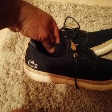 Lacoste cipele tenisice