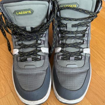 Lacoste gležnjače br 41