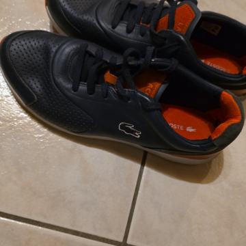 Lacoste original br.43