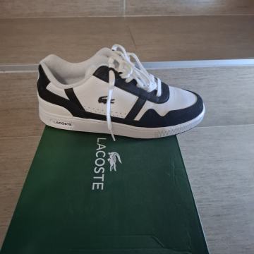 Lacoste tenesice br 40