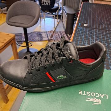 Lacoste tenisice br.44