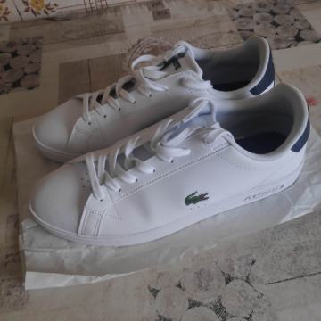 Lacoste tenisice br 45