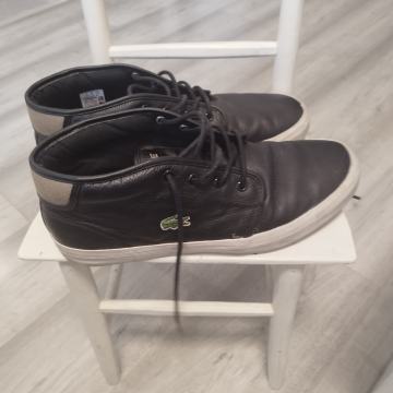 Muške tenisice LACOSTE 45