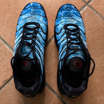 Nike Air Max plus TN Shark