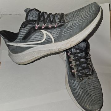 Nike Air Zoom Pegasus 39 | 45