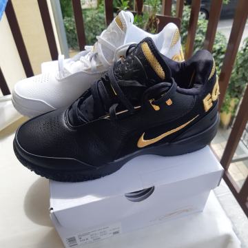 Nike  Le Bron br.42,5(novo)