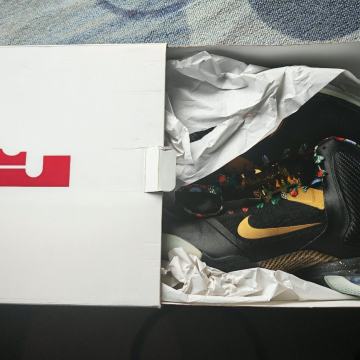 Nike LeBron  9 Watch The Throne 47.5