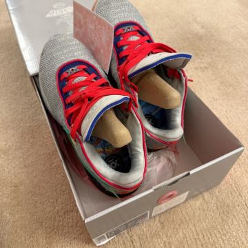 Nike LeBron James XX EP 42