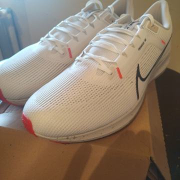 Nike Pegasus 40 - NOVO