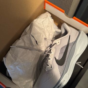 Nike Pegasus 44