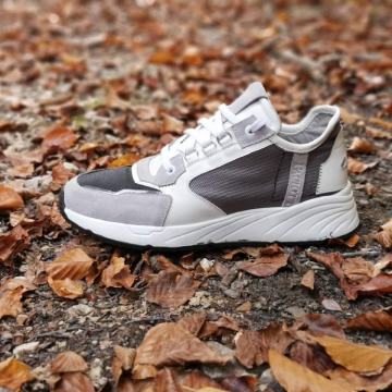 Paciotti Muške Kožne Tenisice NOVA KOLEKCIJA