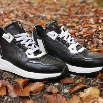 Paciotti Muške Kožne Tenisice NOVA KOLEKCIJA