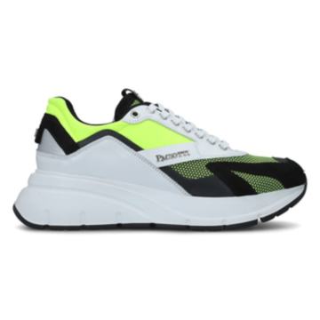 Paciotti Muške Tenisice