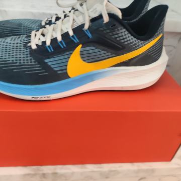 Patike Nike Pegasus 39 br. 45,5