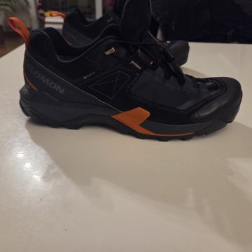 Salomon X Ultra Alpine Gtx