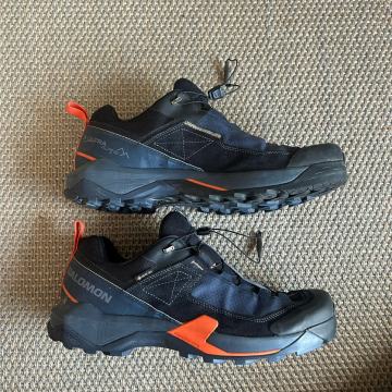 Salomon X Ultra Alpine Gtx