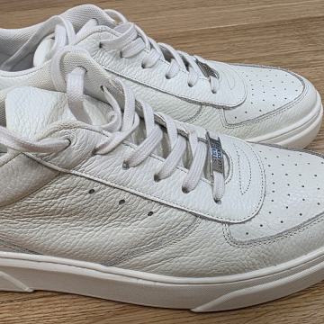 STEVE MADDEN KOŽNE MUŠKE TENISICE