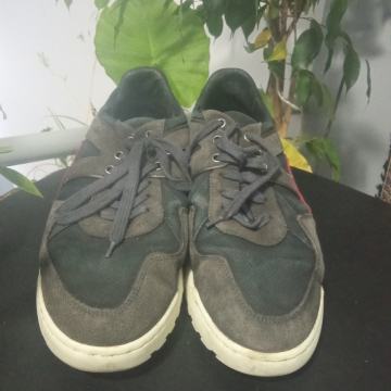 TENESICE CYCLEUR DE LUXE