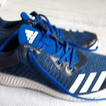 Tenisice (39) adidas