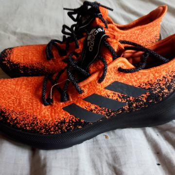 Tenisice (41) adidas