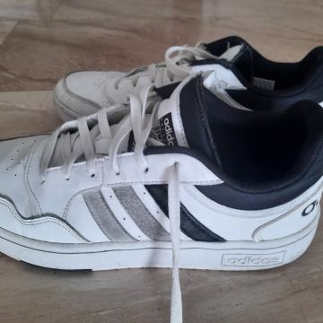 Tenisice Adidas broj 44
