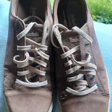 TENISICE br 43 1/3-Timberland
