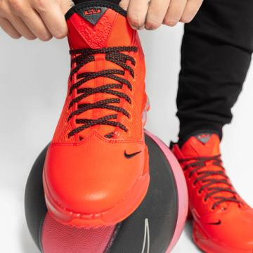 Tenisice Nike LeBron 19, broj 42.5