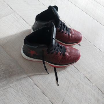 Visoke muske tenesice