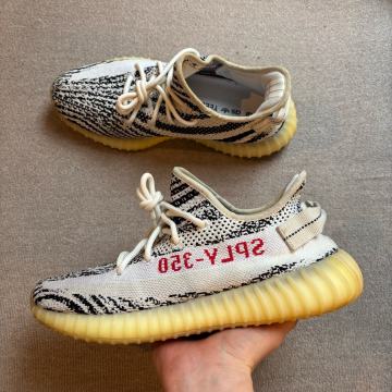 Yeezy 350 Zebra 42 2/3