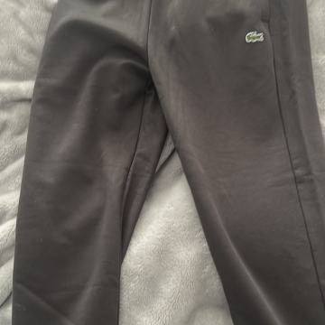 Lacoste donja trenerka