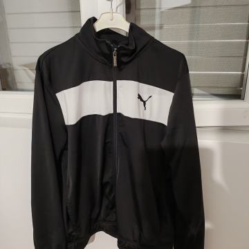 Puma (muška trenerka)