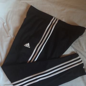 Trenirka (L) adidas doljnja