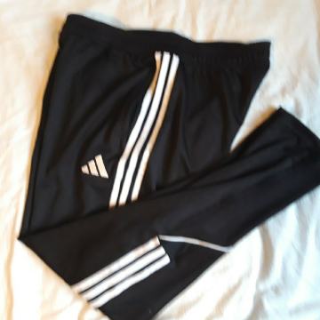 Trenirka (L) adidas doljnja