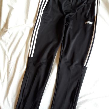 Trenirka (L) adidas doljnja