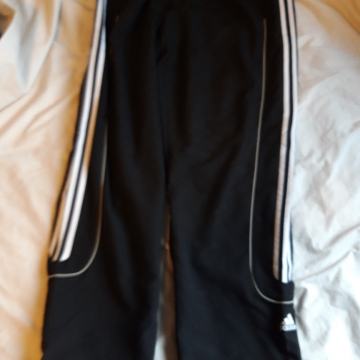 Trenirka (L) adidas doljnja