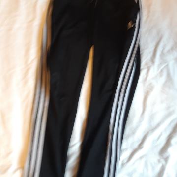 Trenirka (M) adidas doljnja