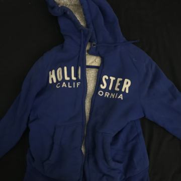 Hollister hoodica
