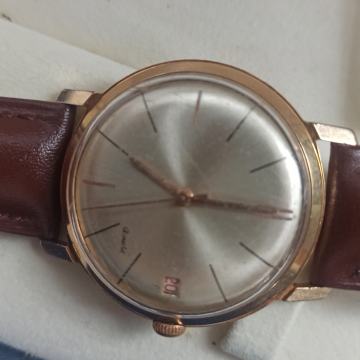 Arnold Vintage navijač