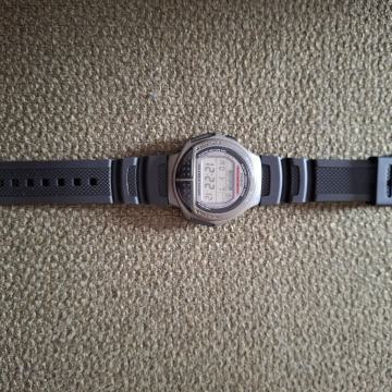 Casio sat
