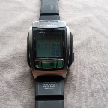 Vintage Casio WGV-10