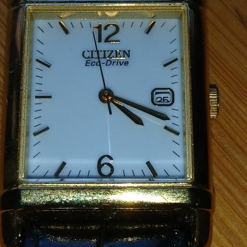 Citizen eco drive muski sat