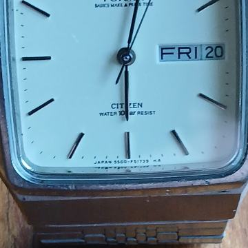 Citizen  Forma vintage quartz sat