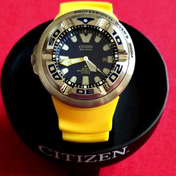 Citizen Promaster Ecozilla Diver