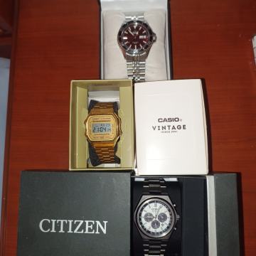 Citizen Zenshin Panda,Orient Kamasu red,Casio Vintage a168gold