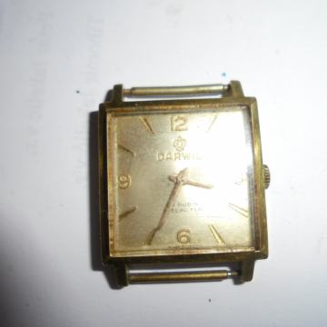 Darwil 17 rubisa specijal flat